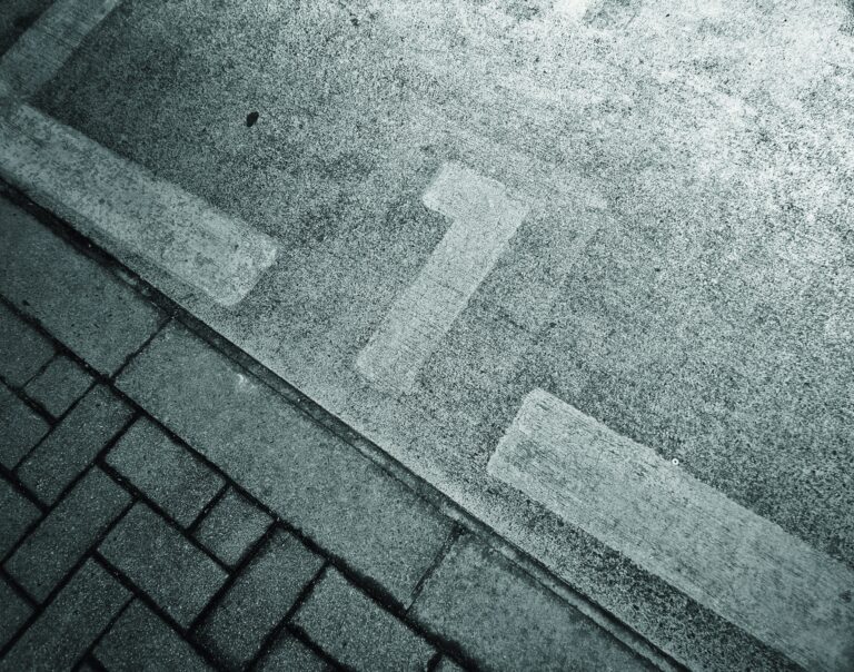 Fascisterne