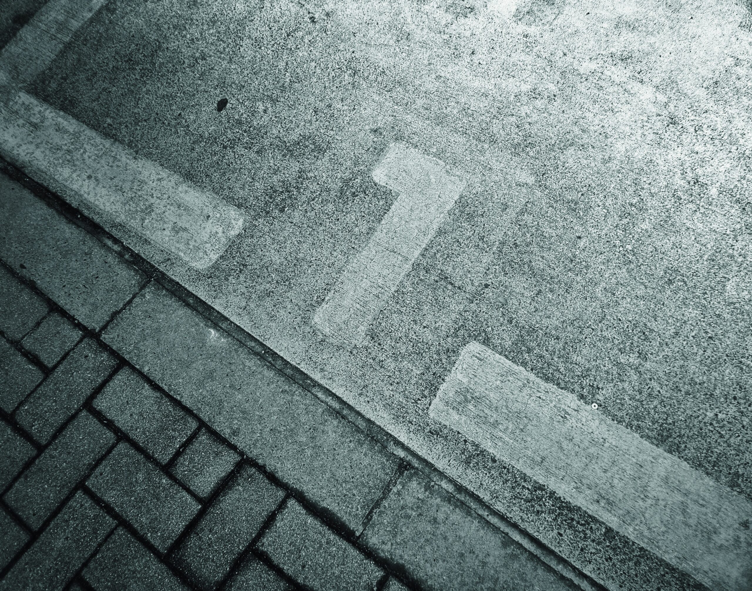 Fascisterne