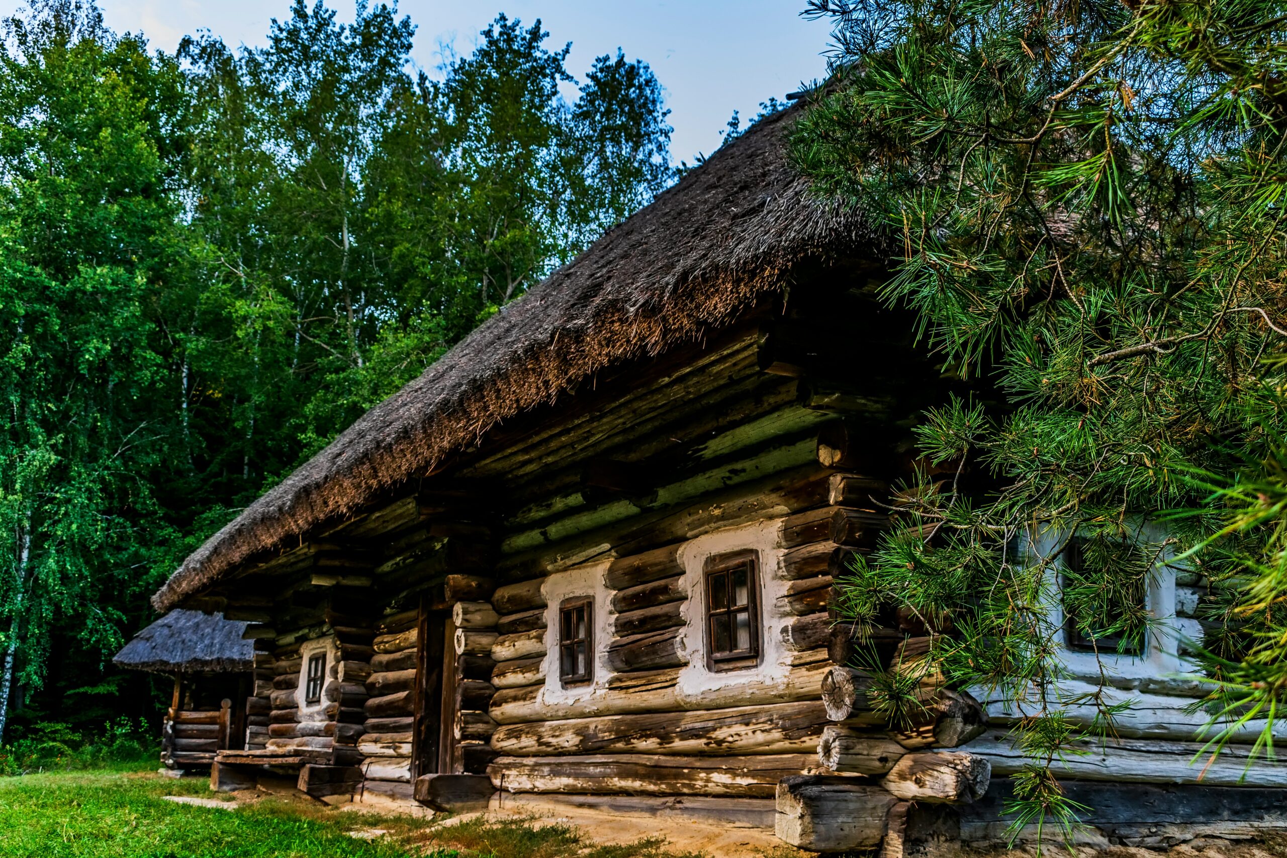 Sodziu