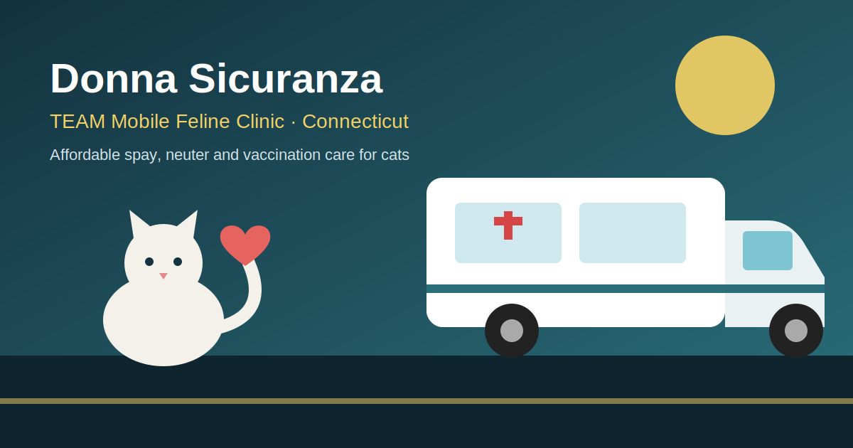 Donna Sicuranza: Who She Is and What Her Work at TEAM Really Does